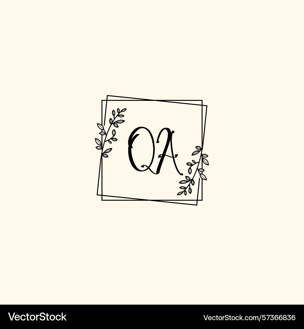 Classic floral monogram qa with elegant frame Classic floral monogram qa with elegant frame vector image