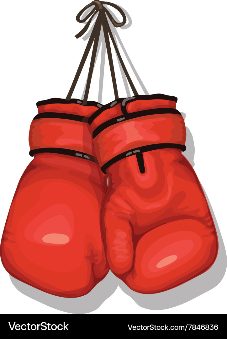 Hanging Boxing Gloves Vector Image