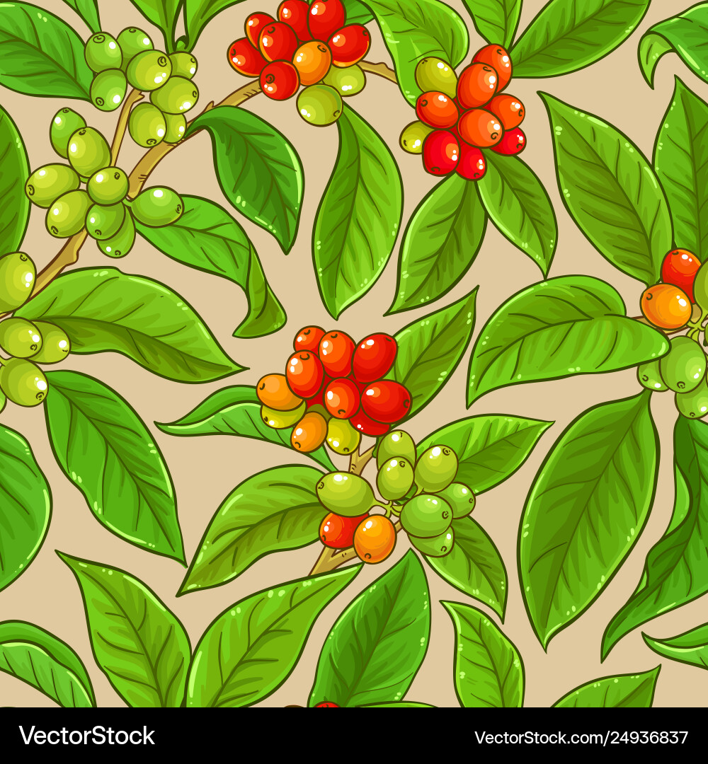 Coffee branches pattern on color background Coffee branches pattern on color background vector image