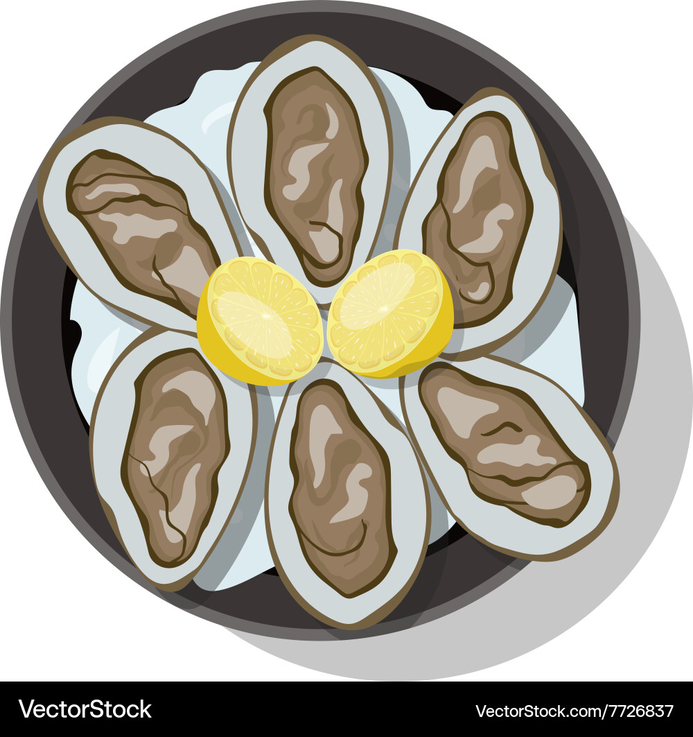 Raw oyster in shell with slice of lemon Vector Image