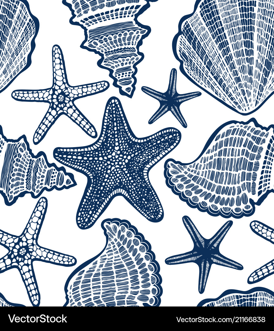 Hand-Drawn Shell and Starfish Pattern vector image