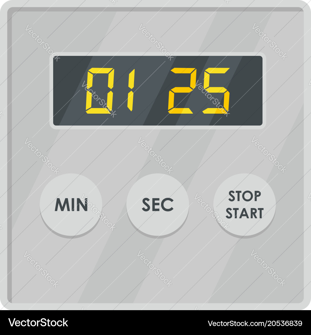 Display timer icon flat style Vector Image