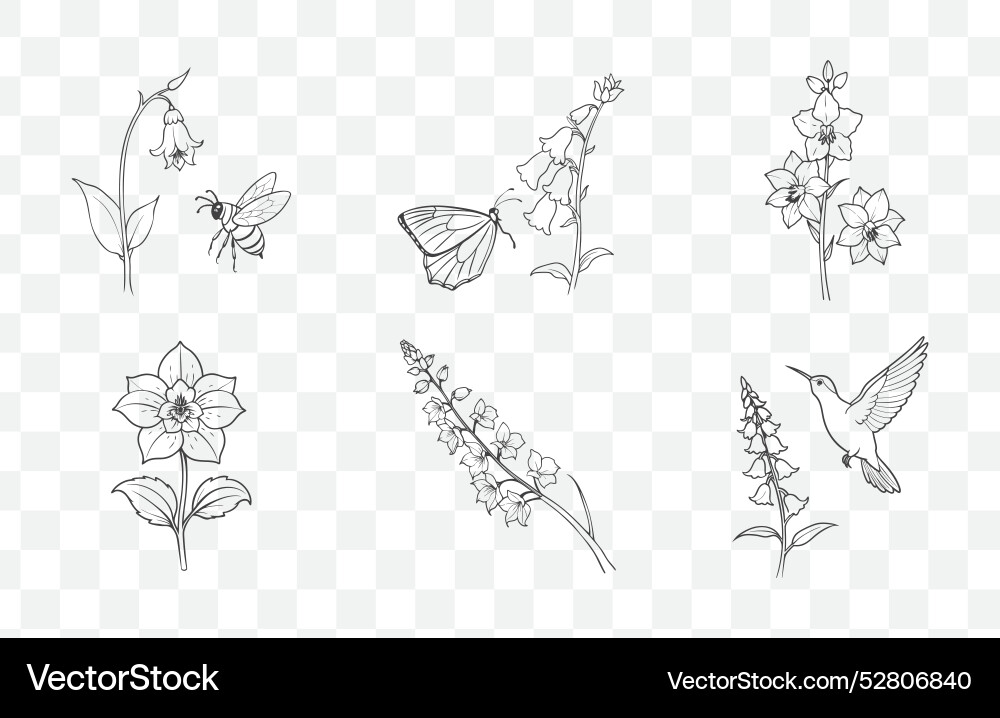 Print delphinium flower line art set vector image
