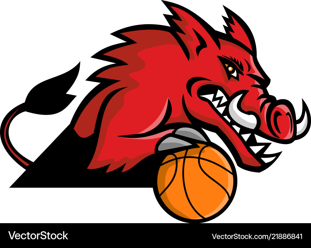 Red Boar Basketball Mascot vector image
