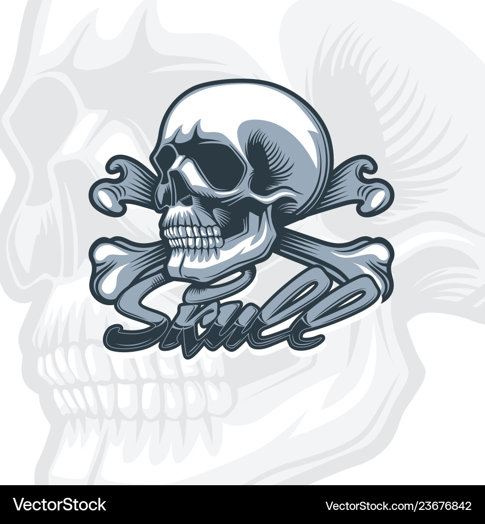 Detailed Skull and Bones Artwork Vector Image