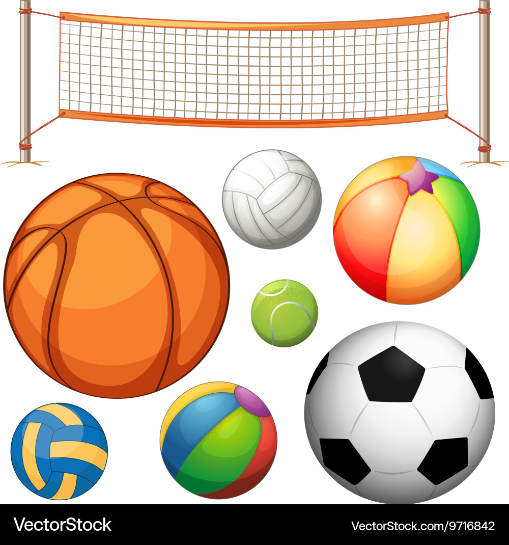 Set of different balls and net vector image