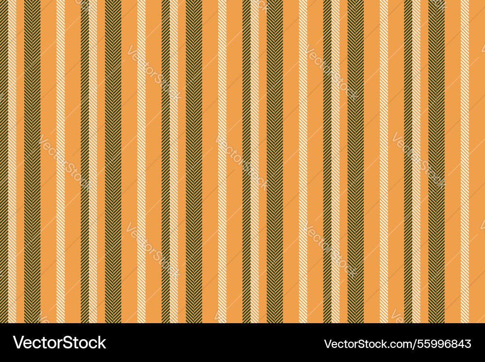 Multicolor pattern lines horizon vertical Vector Image
