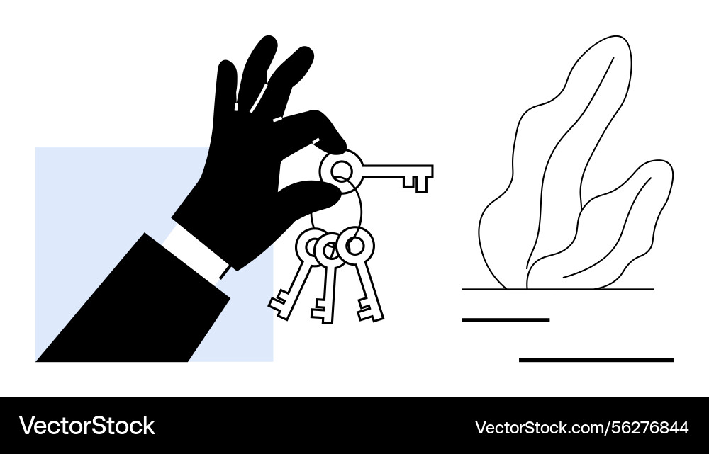 Hand holding keyring with multiple keys next Hand holding keyring with multiple keys next Vector Image