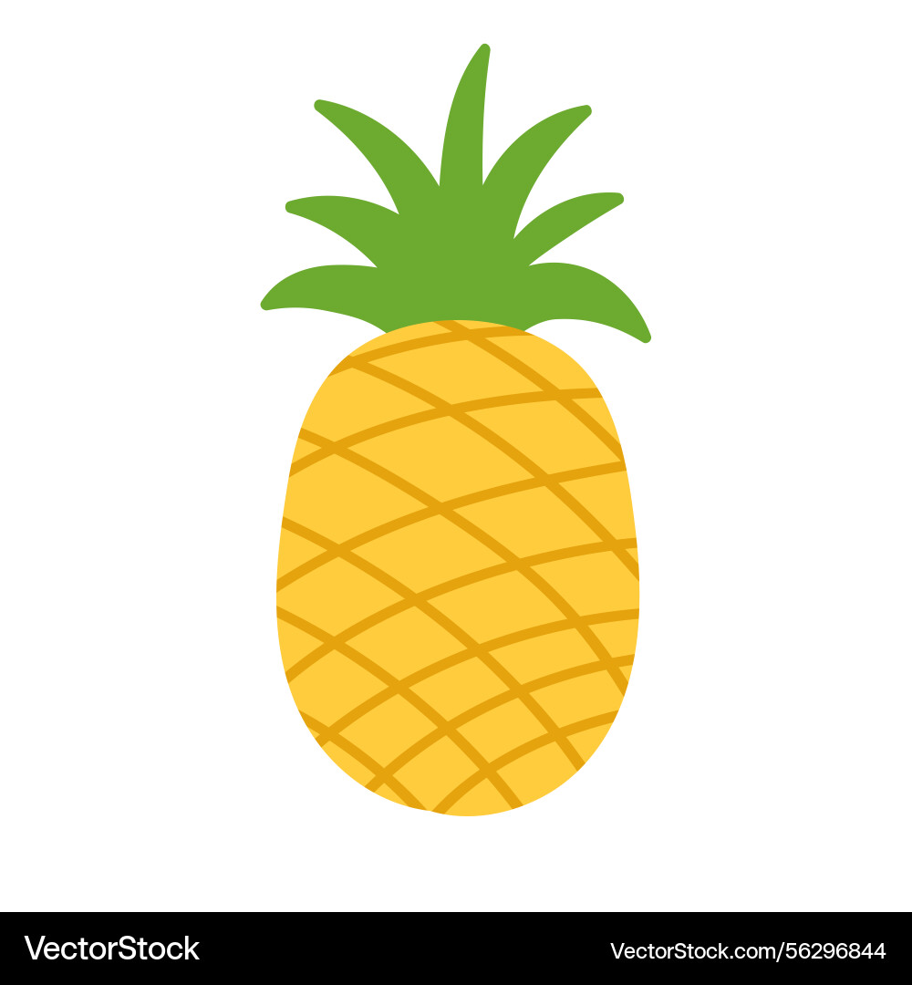 Pineapple fruit hand drawn Royalty Free Vector Image
