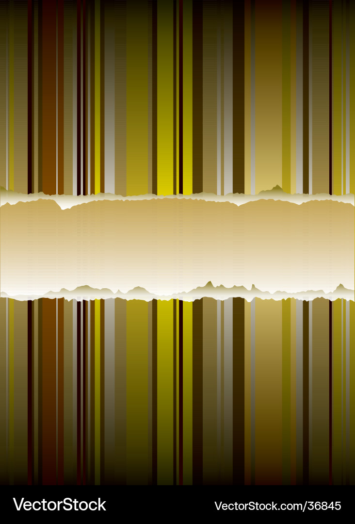 Golden rip Vector Image