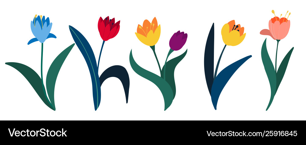Set bunte Tulpen im flachen Stil isoliert Set bunte Tulpen im flachen Stil isoliert vektorbild