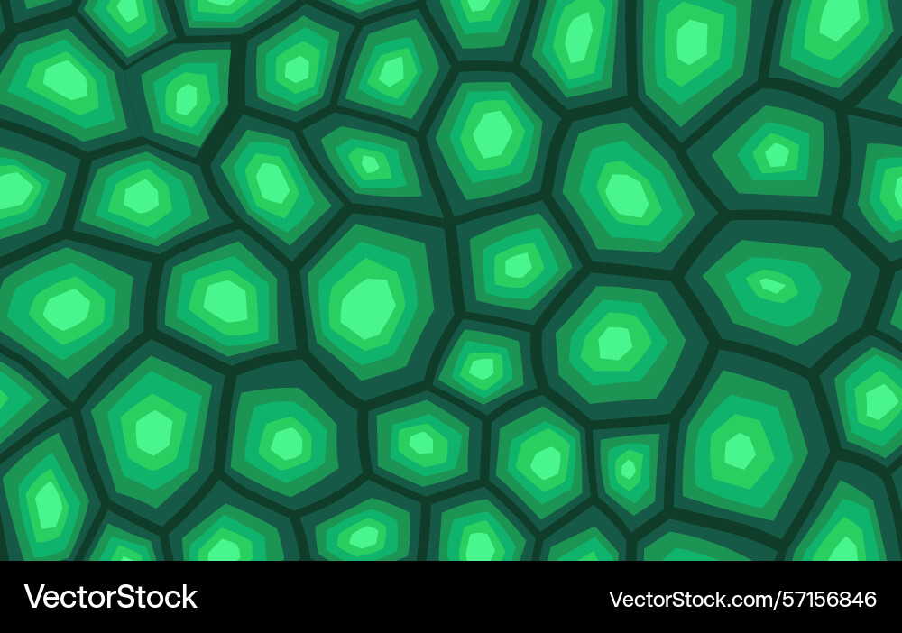 Abstract modern turtle shell seamless pattern Abstract modern turtle shell seamless pattern vector image