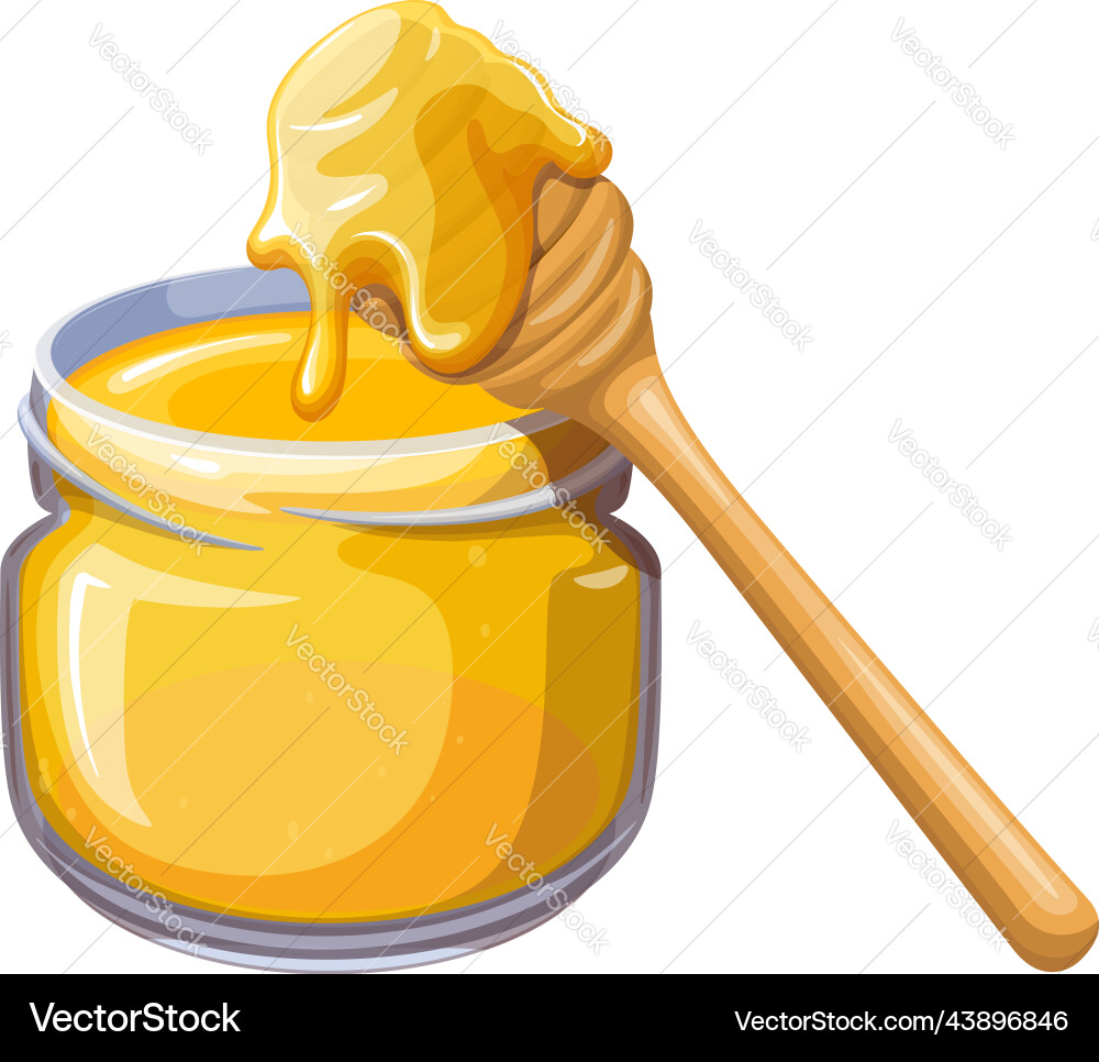 Glass jar with bee honey and wooden dipper Glass jar with bee honey and wooden dipper vector image