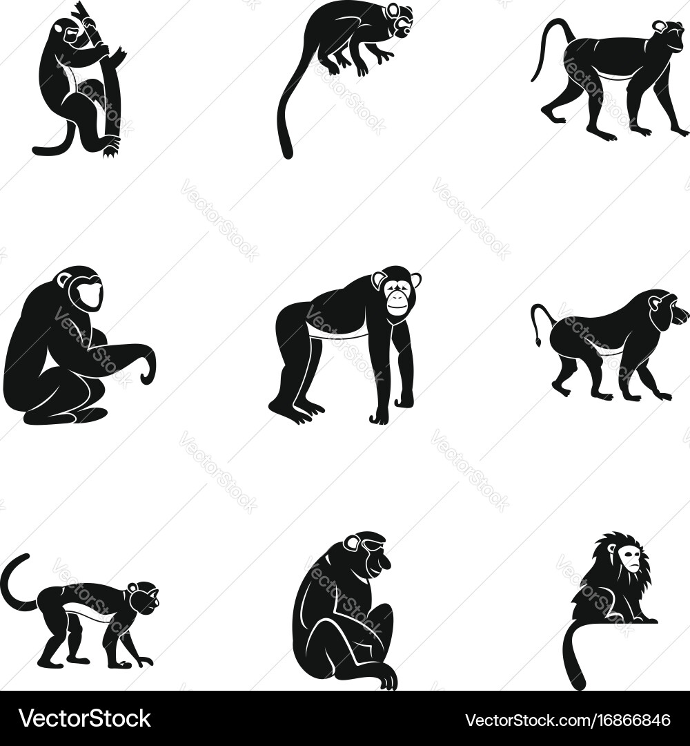 Jungle monkey icon set simple style Vector Image