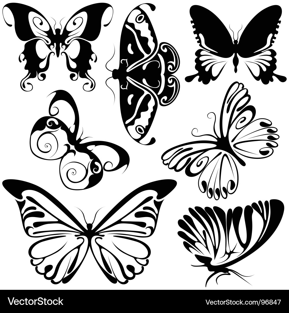 Black Butterfly Silhouettes vector image