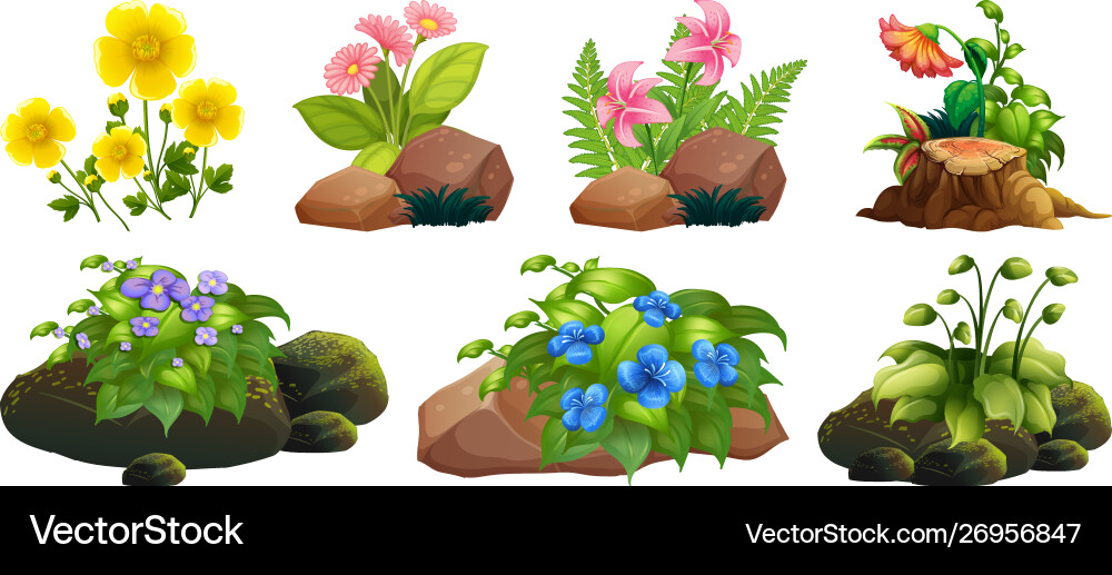 Große bunte Blumen auf Felsen und Holz Große bunte Blumen auf Felsen und Holz vektorbild