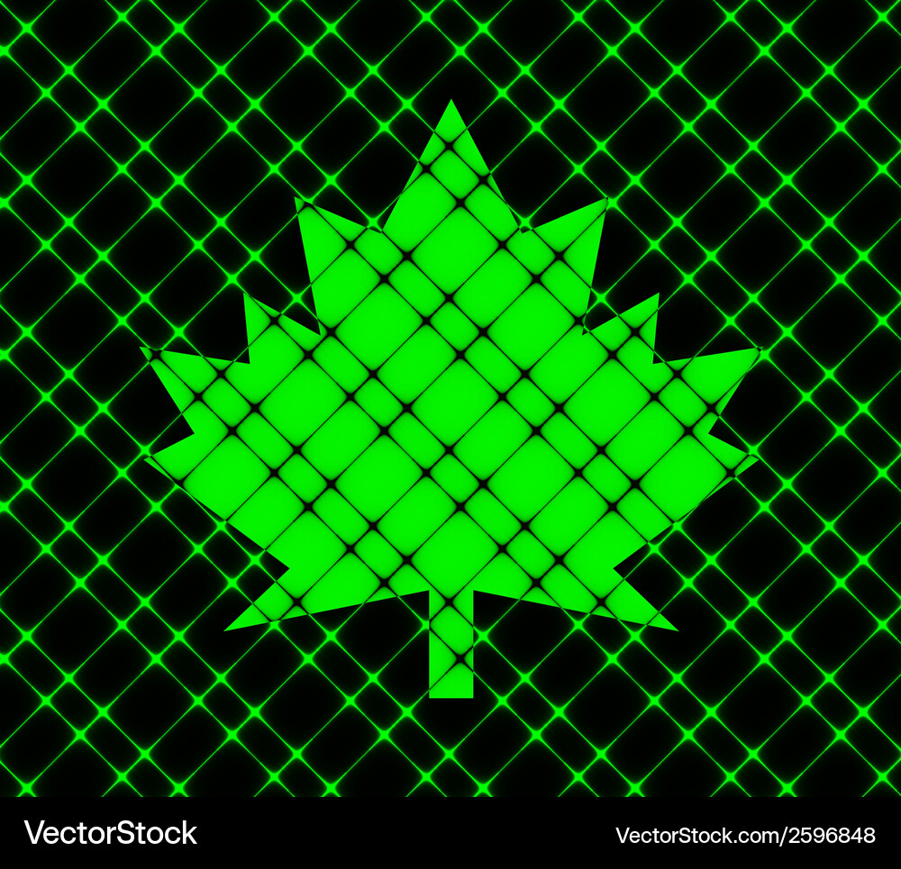 Maple leaf flat modern web button and space Vector Image