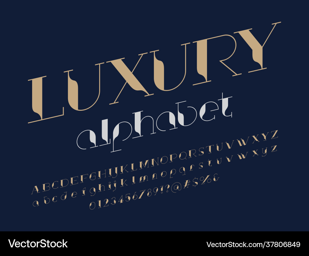 Elegant Luxury Font Set vector image