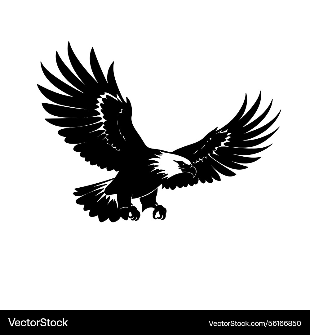 Eagle silhouette with spread tail feathers Eagle silhouette with spread tail feathers vector image