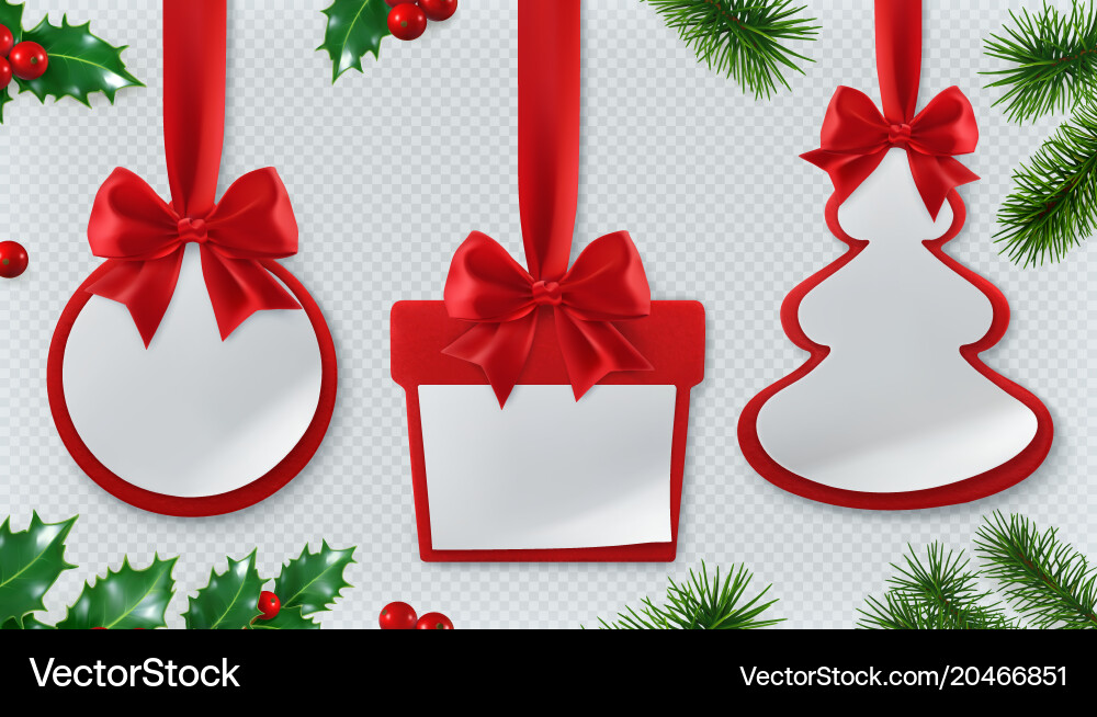 Christmas Baubles and Gift Box Vector Image