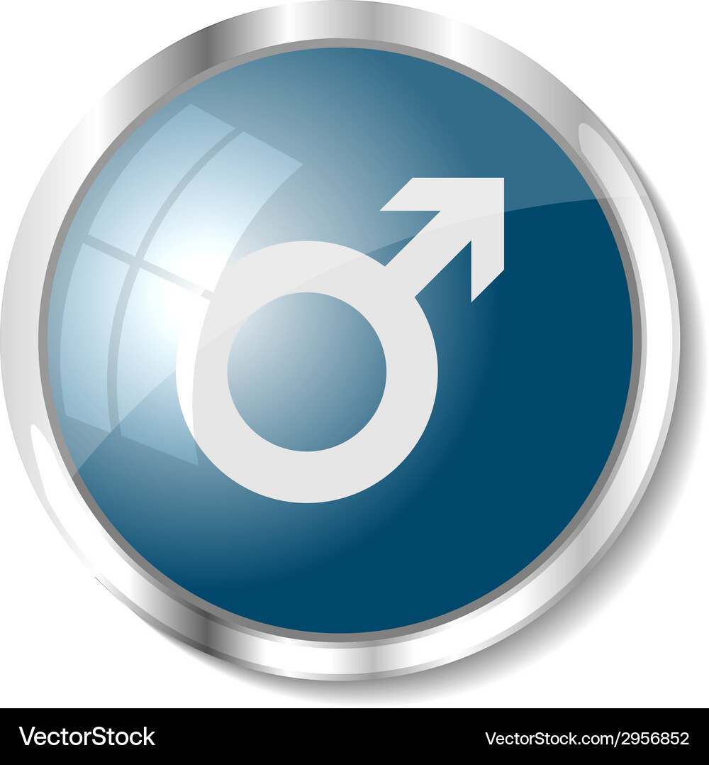 Blue web button Vector Image