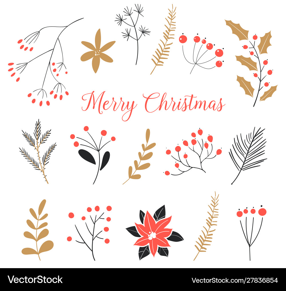 Christmas Floral Elements Vector Image