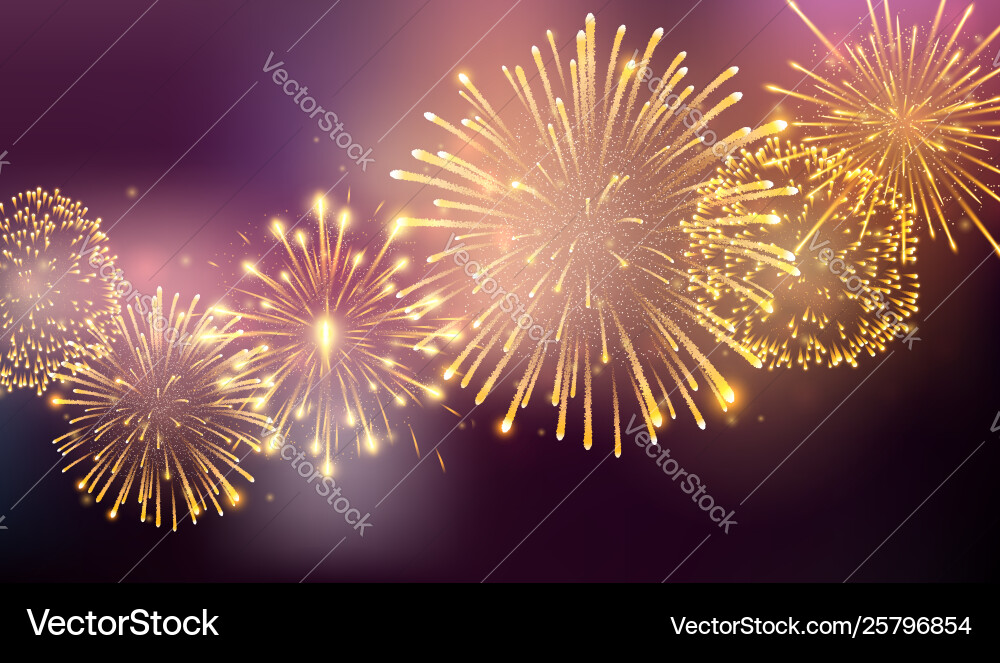 Fireworks bursting in various shapes firework Fireworks bursting in various shapes firework vector image