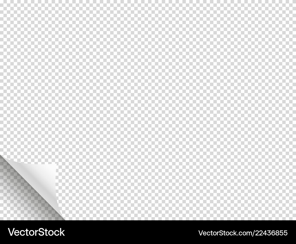 Bending paper mockup object isolated Vector Image