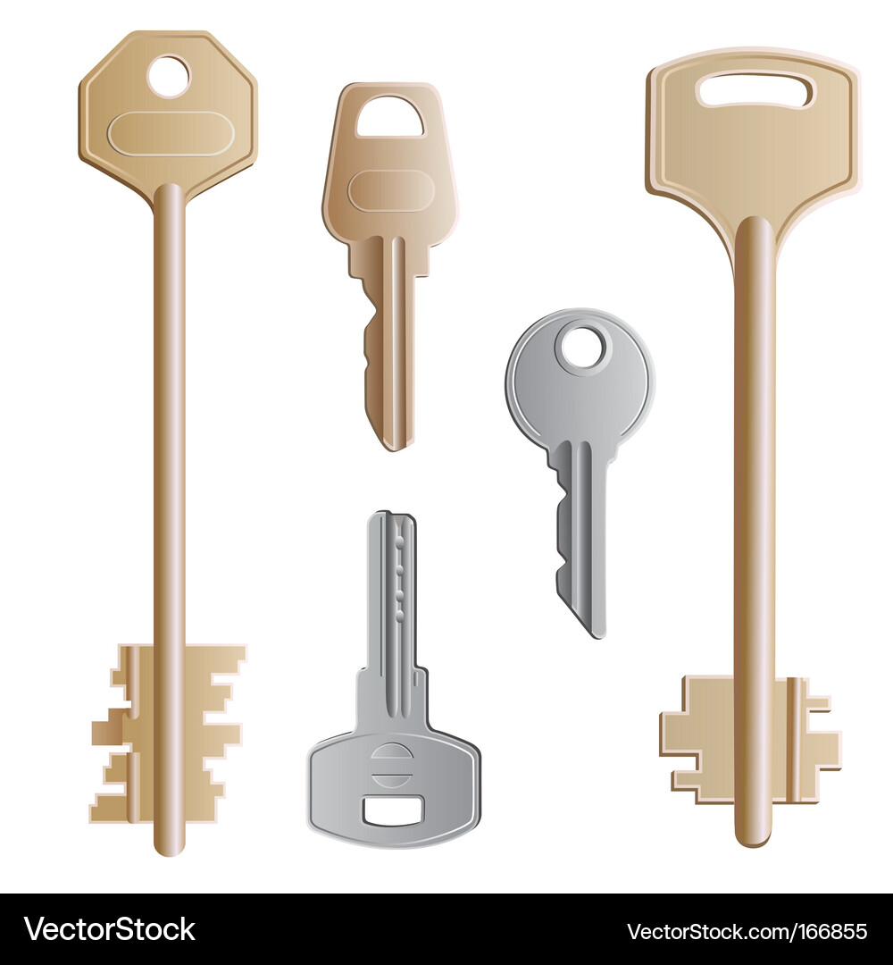 Set of Keys Vector Image