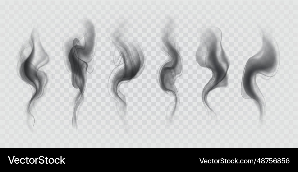 Black smoke transparent air effect steam of dark Black smoke transparent air effect steam of dark vector image