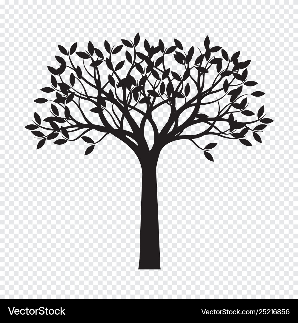 Schwarzer Baum auf transparentem Hintergrund Schwarzer Baum auf transparentem Hintergrund vektorbild