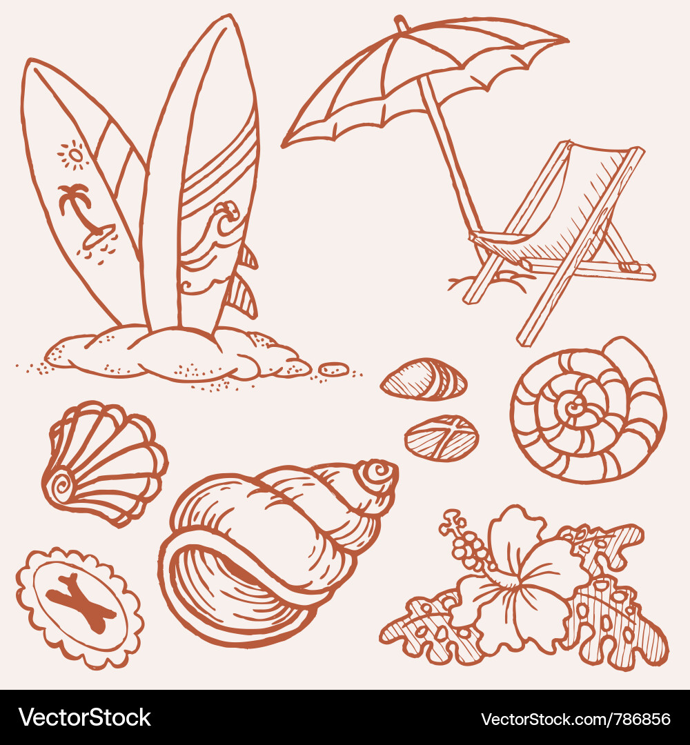 Seaside Shell Doodles vector image