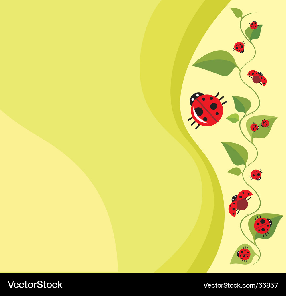 Floral Cartoon Frame Vector Image