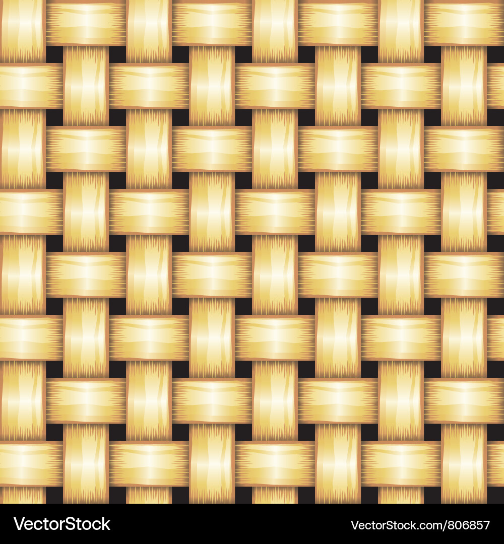 Golden Wicker Texture Vector Image