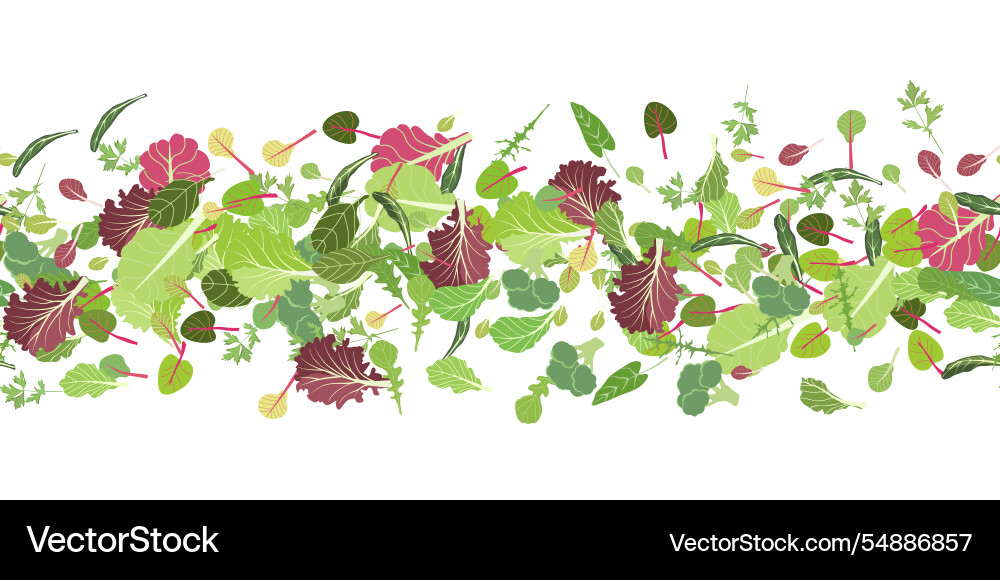 Salad leaf set seamless pattern Royalty Free Vector Image