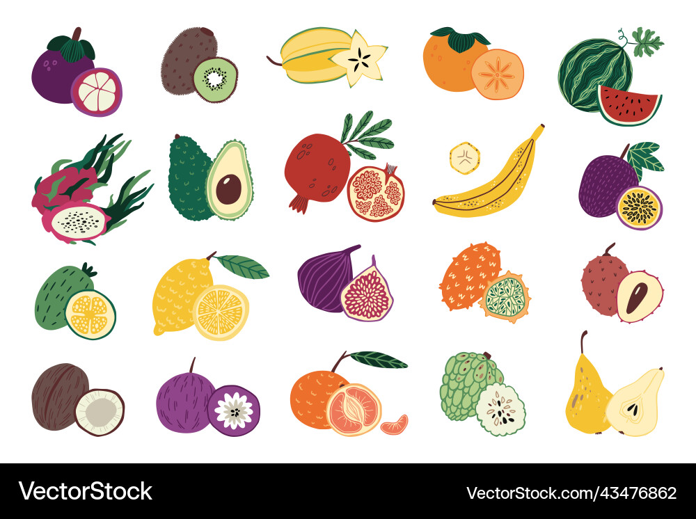Exotic fruits whole and half isolated pineapple Exotic fruits whole and half isolated pineapple vector image