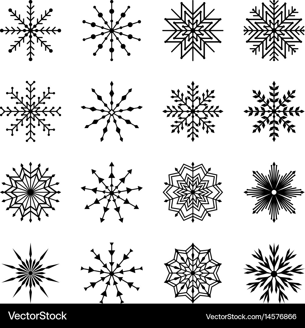 Snowflake Collection Vector Image