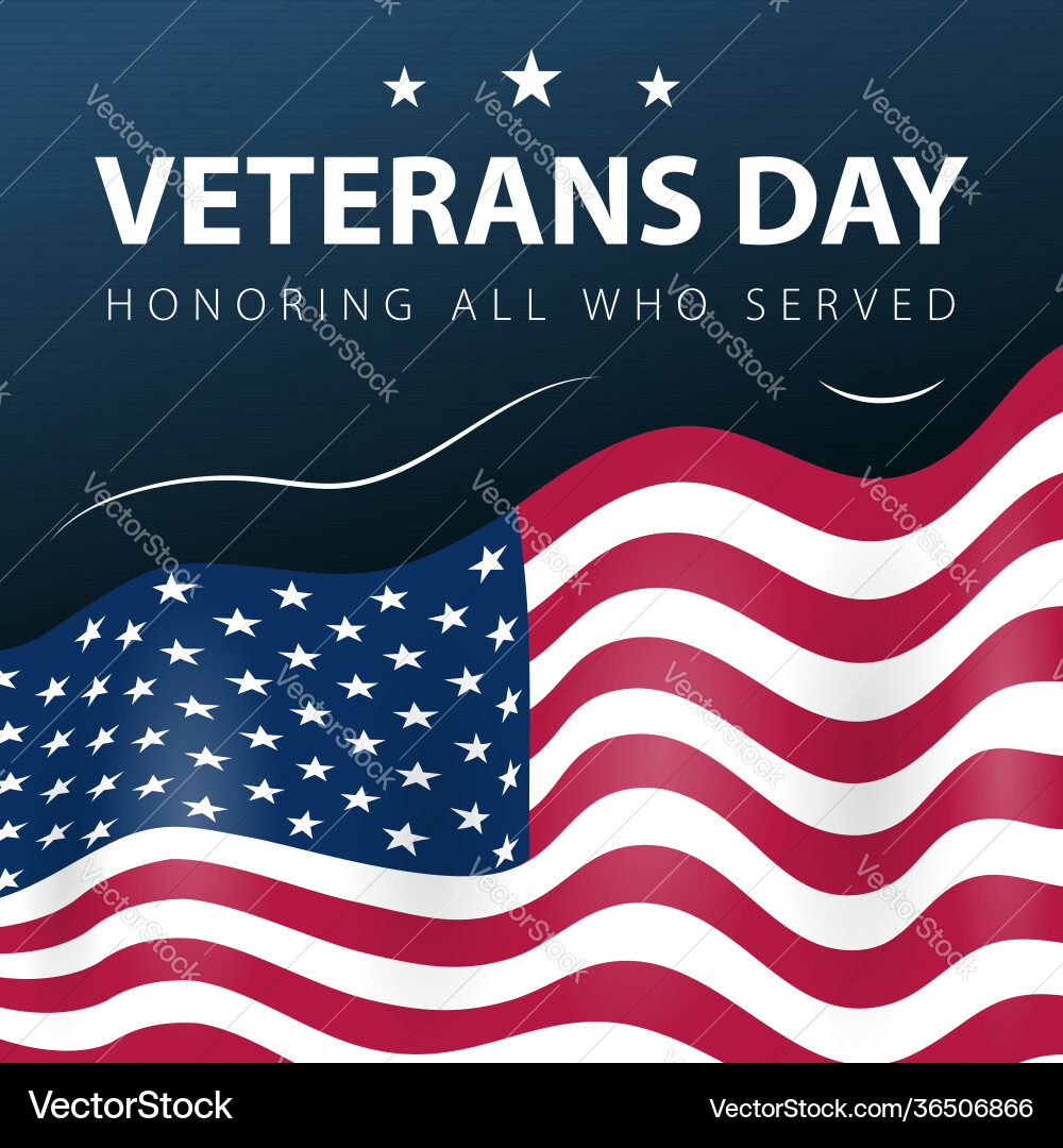 Veterans Day Patriotic Poster Vector Image