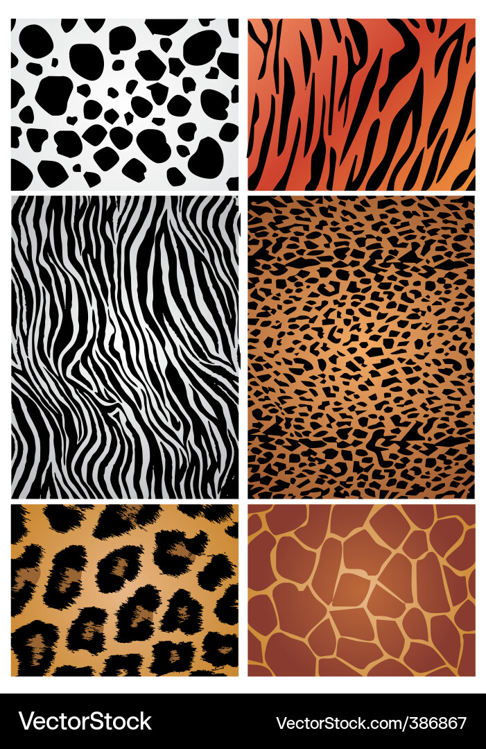 Animal print patterns