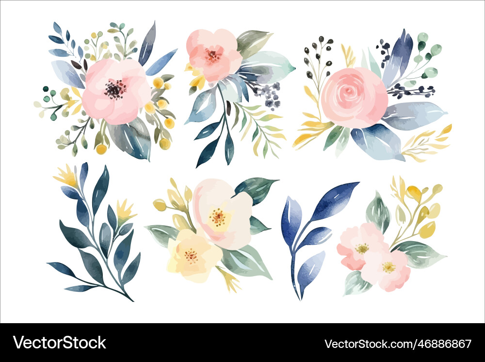 Blush Aquarell Blumenset vektorbild