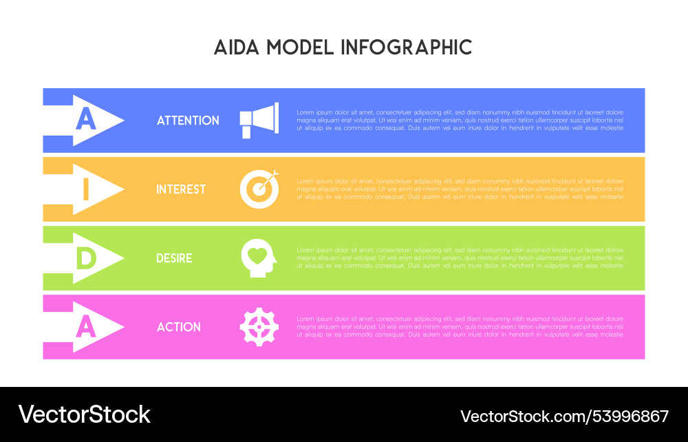 Horizontal aida model infographic with colorful Vector Image
