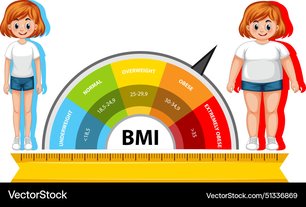 Bmi scale with two characters Bmi scale with two characters vector image