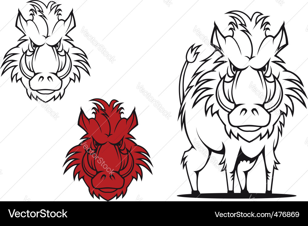 Cartoon Wild Boar Head vector image