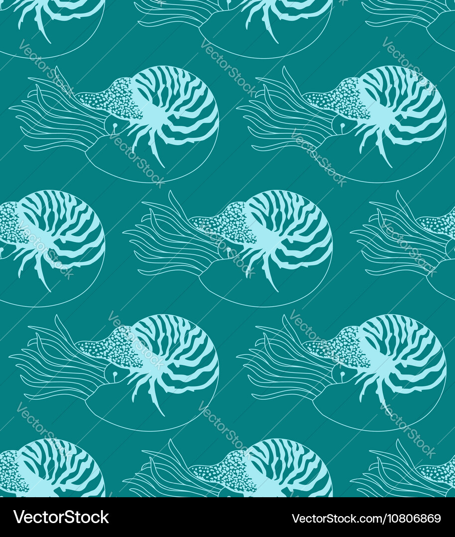 Nautilus Shell Pattern Vector Image