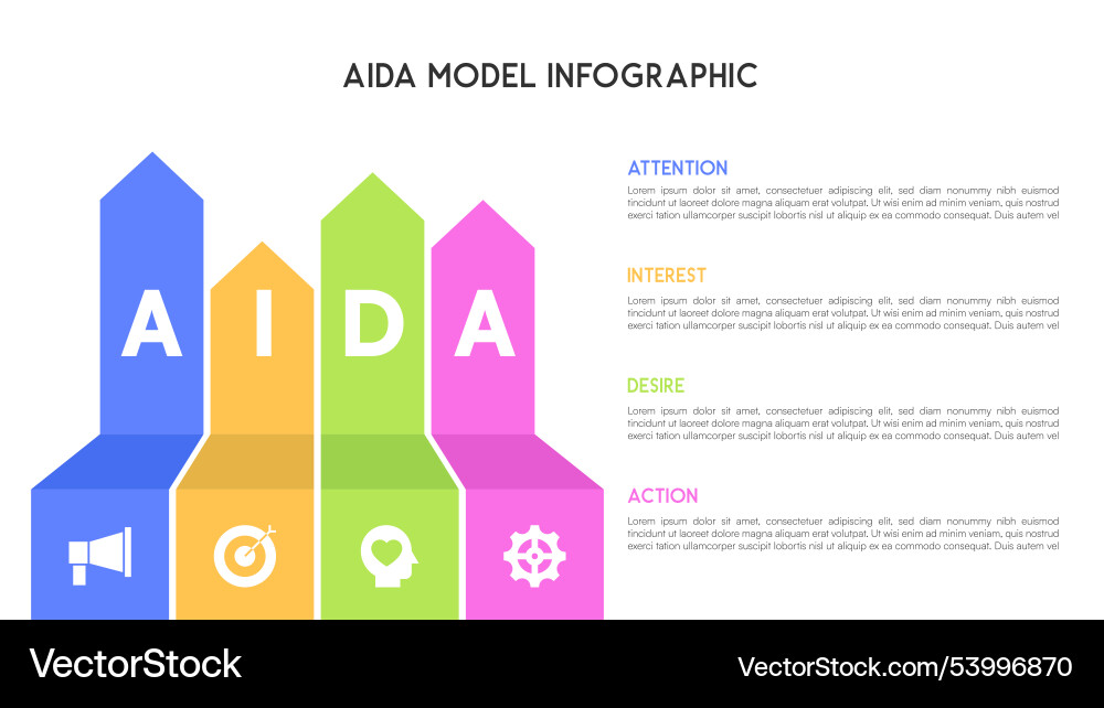 Aida model infographic with colorful vertical Aida model infographic with colorful vertical Vector Image