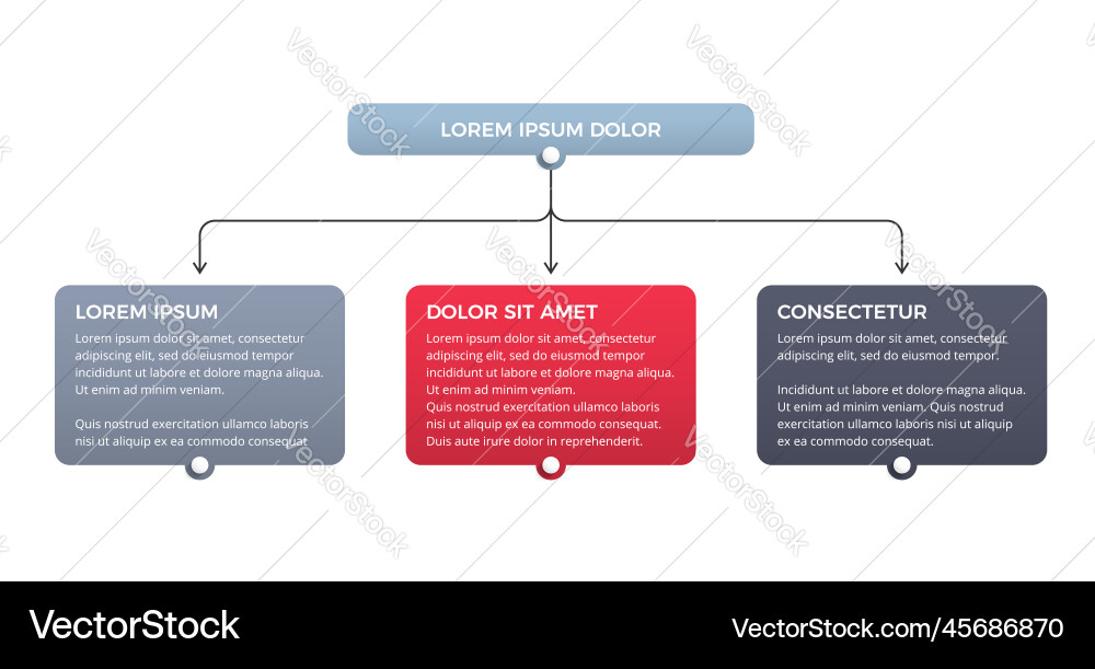 Flowchart with 3 elements Vector Image