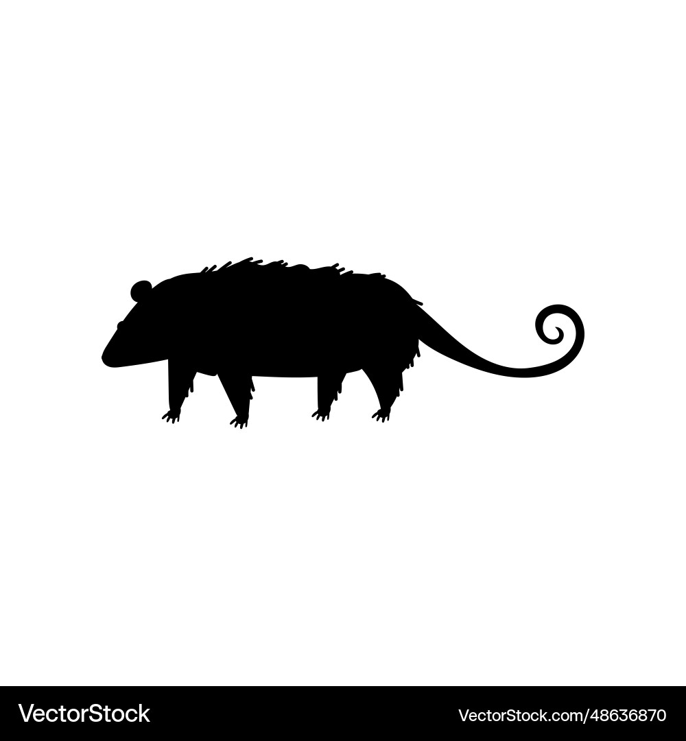 Schwarze Silhouette des nordamerikanischen Opossum Tieres Schwarze Silhouette des nordamerikanischen Opossum Tieres vektorbild