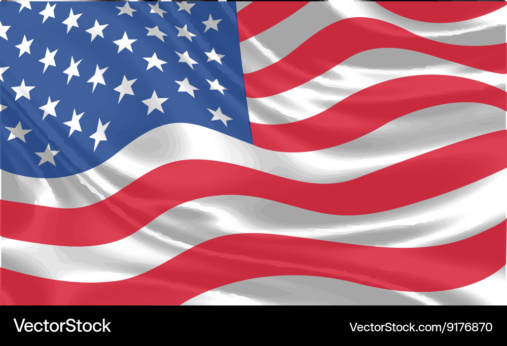 Waving American Flag Vector Image