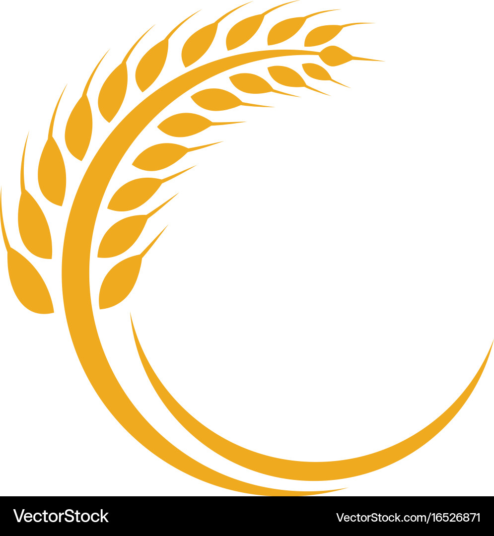 Agriculture wheat logo template icon design vector image