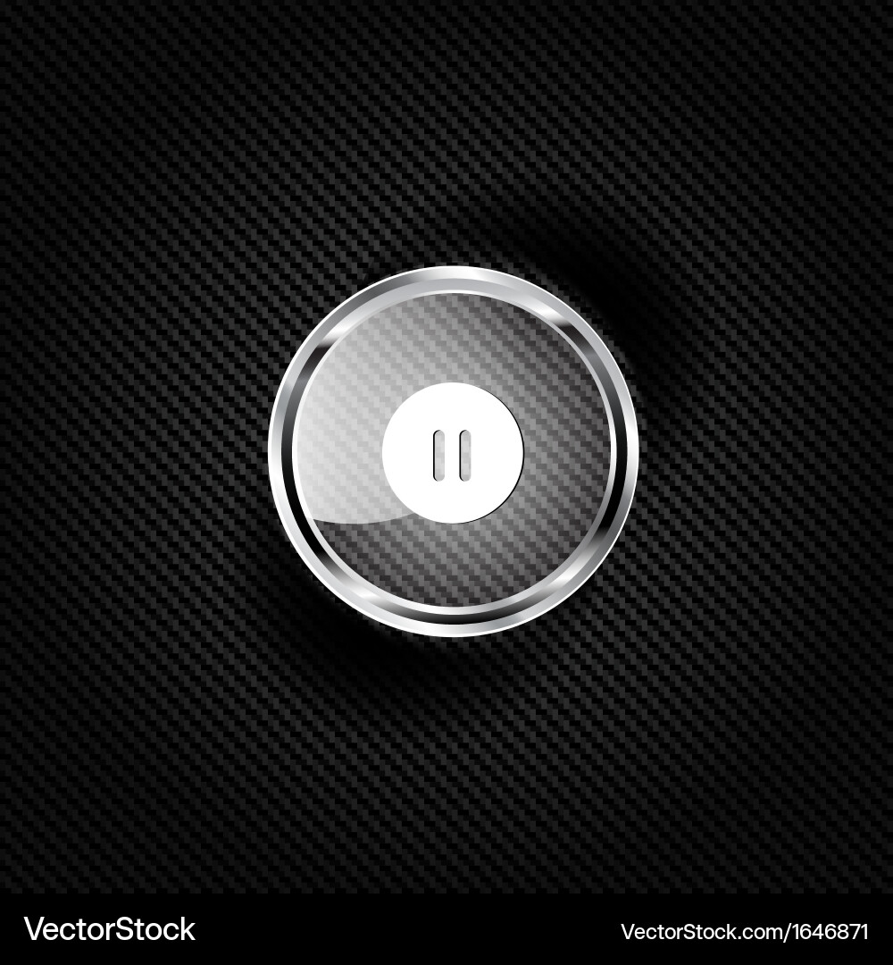 Pause web icon flat design Vector Image